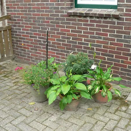 Zum Gruenen Holz