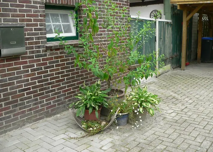 Zum Gruenen Holz Zetel